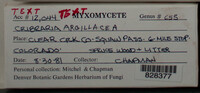 Image Associated With the Occurence